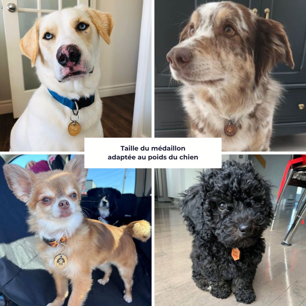 Médaille pour chien personnalisé en bois