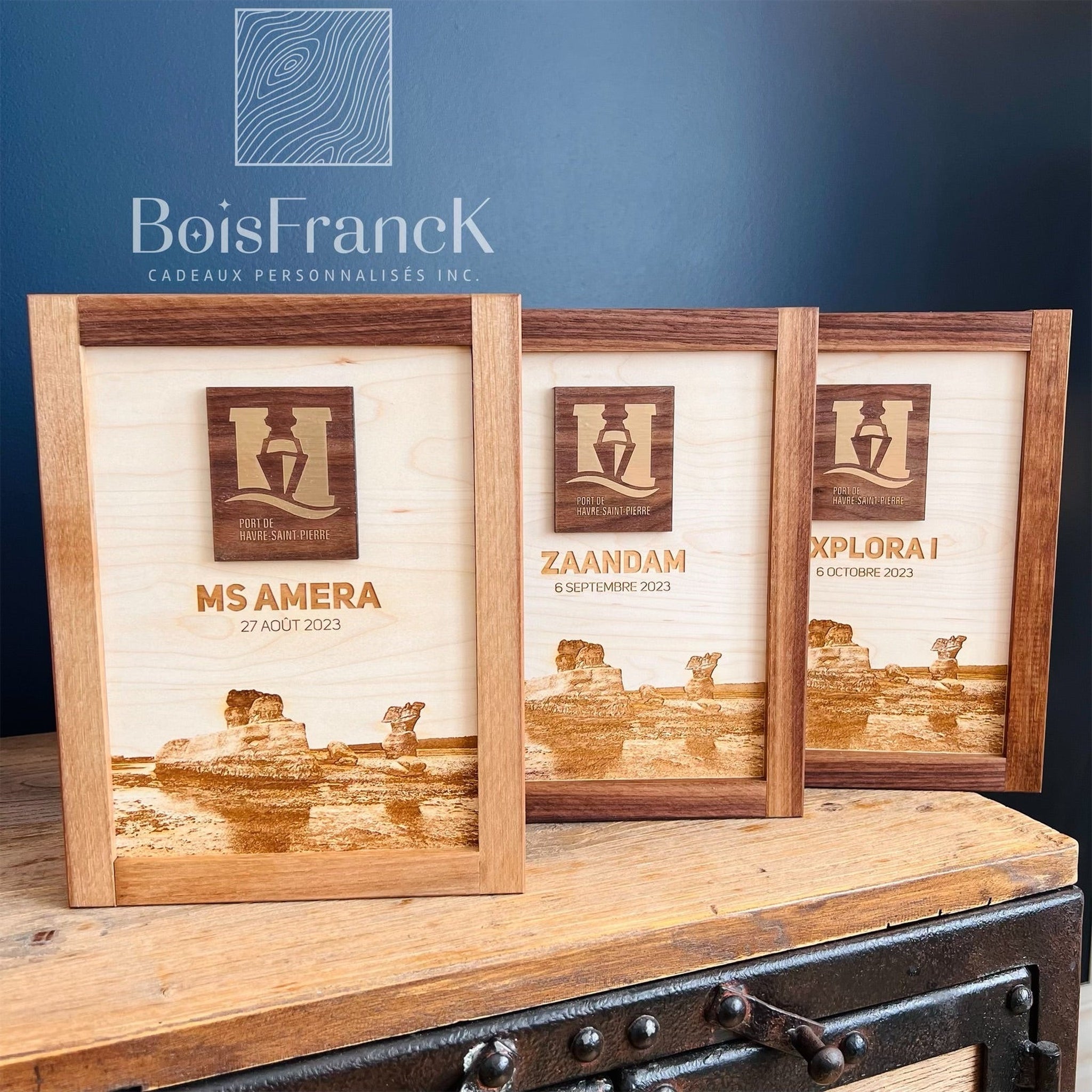 Plaque de reconnaissance-porthsp-BoisFrancK