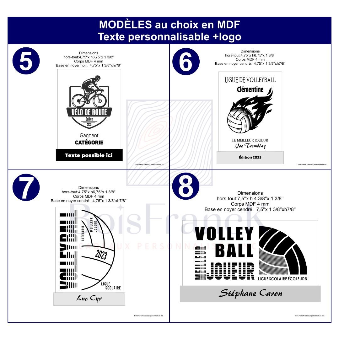 Tableau 1 des modèles au choix- trophéesvélo et volleyball-BoisFrancK