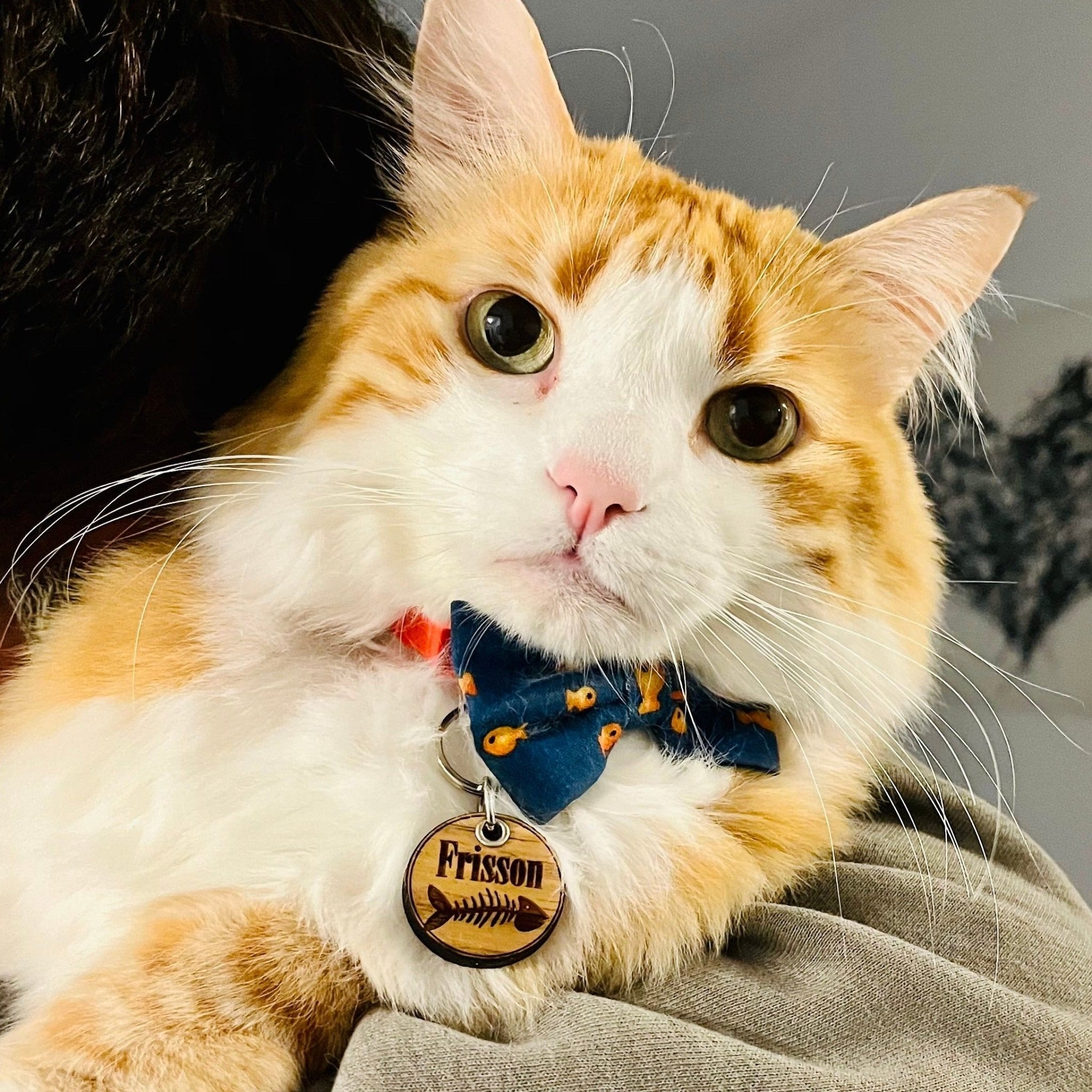 Médaille pour chat en bois personnalisé-Mannequin Frisson-BoisFrancK
